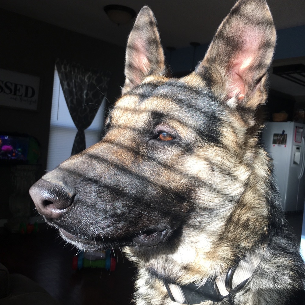 Meet your Posher, Katelyn